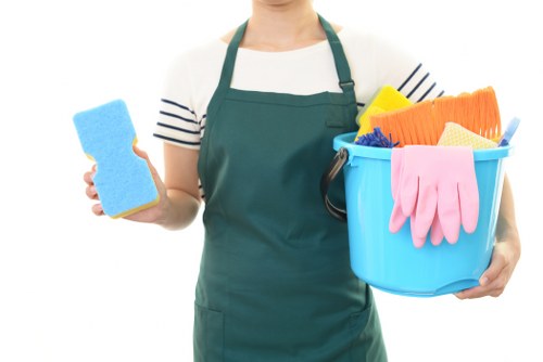 Regular cleaning service in SE16 for a tidy local home