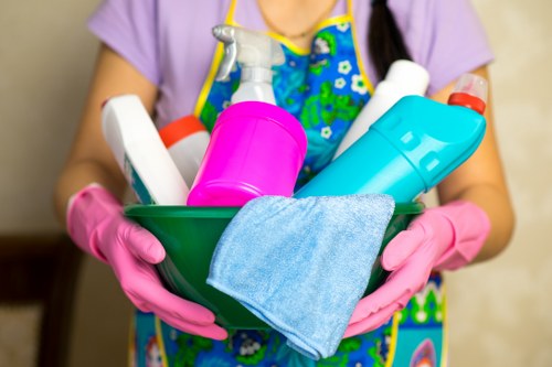 Professional oven cleaning service for homes in SE16