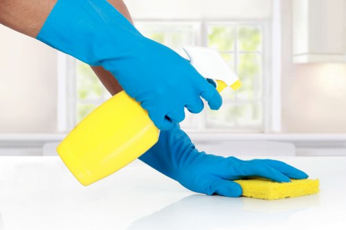 Kitchen deep cleaning during an end of tenancy clean in SE16