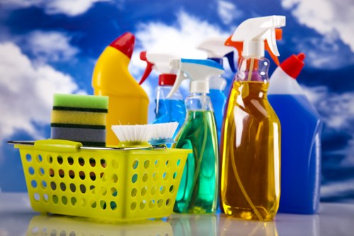 Professional exterior glass cleaning in SE16 for homes and businesses