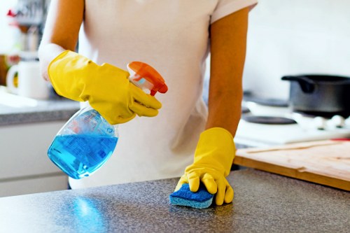 Weekly cleaning for a modern SE16 flat kitchen and living area