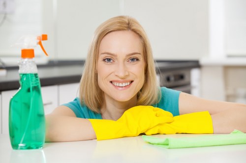 Professional carpet cleaning in SE16 removing dirt from a living room carpet