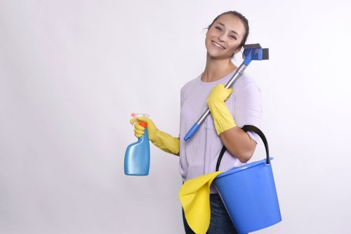 Commercial cleaner treating high-traffic carpet in a SE16 workplace