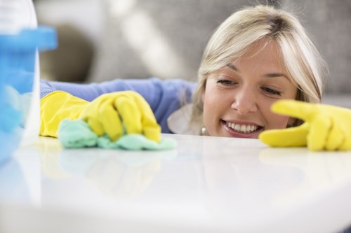 Domestic and commercial stain removal work in the SE16 area
