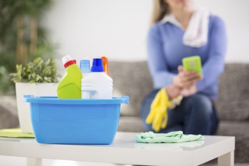 Deep cleaning treatment for a carpet in an SE16 home interior