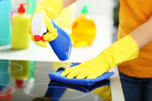 About us carpet cleaners SE16 showing careful property treatment