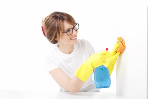 Commercial deep cleaning for an SE16 workspace